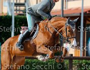 Codecasa Butterfly Red GioCav2013 S5 4558 : Butterfly Red, Campionati Italiani Giovani Cavalli, Cattolica, Codecasa Filippo, ph Stefano Secchi ©
